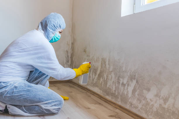 Licensed Mold Testing service in Sunbury, PA - WQB Mold Removal