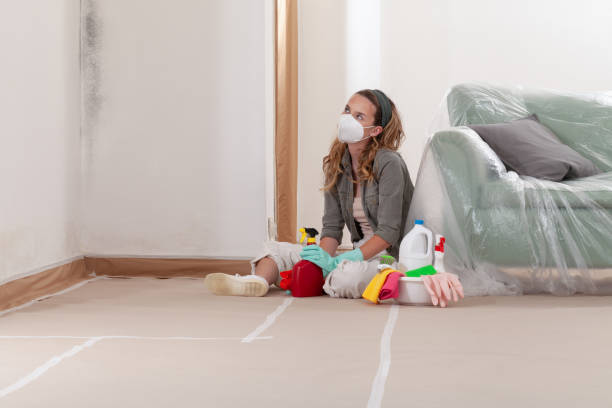 Reliable Mold Testing contractor in Sunbury, PA by WQB Mold Removal